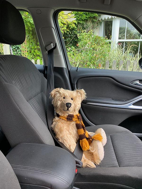Bertie strapped into the front passenger seat of Bobby's car.