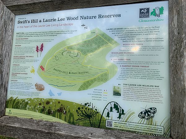 Swift's Hill information. Gloucestershire Wildlife Trust.