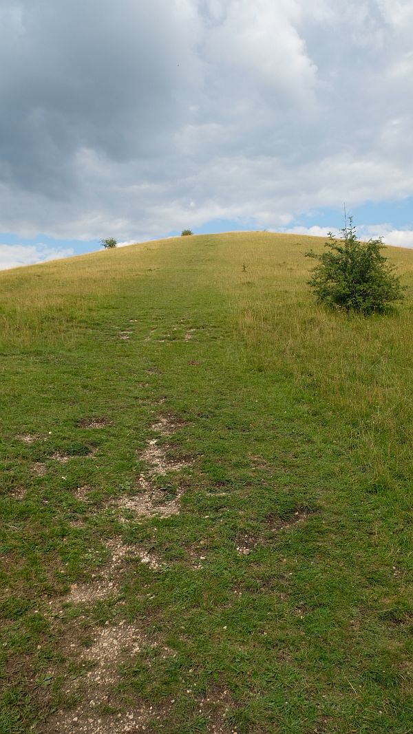 The long climb up Swift's Hill!