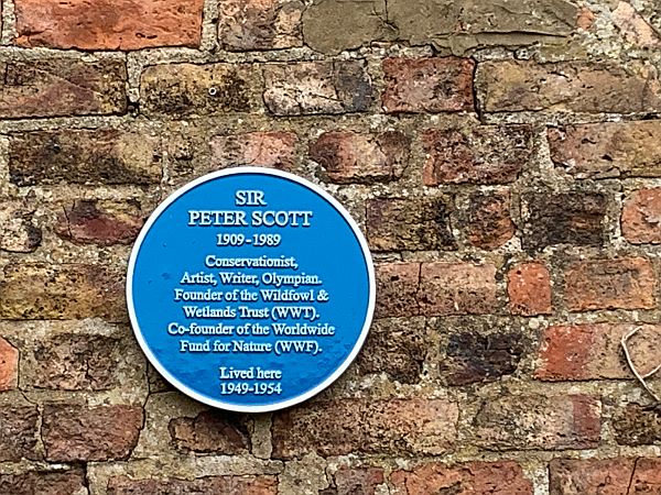 Blue Plaque commemorating Sir Peter Scott (1909-1989), who lived here 1949-1954.