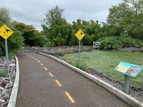 Recreation of an Hawaiin Nene Crossing at Slimbridge.