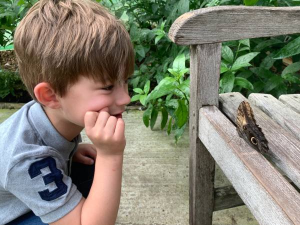 Jay studying a Butterfly with big "eyes".