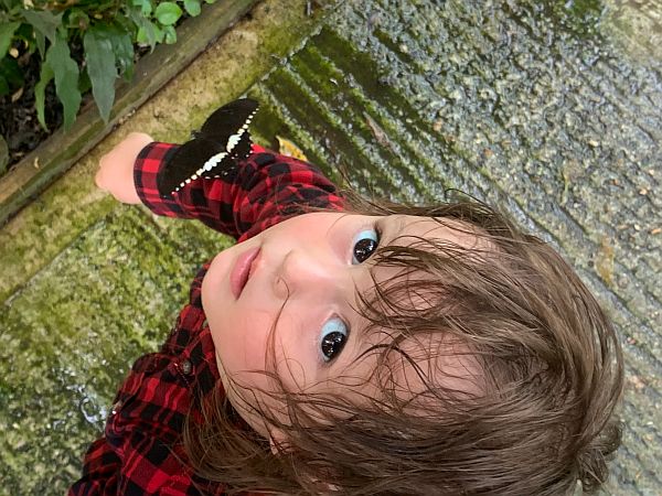 Looking down on Jason with a Butterfly on his arm.