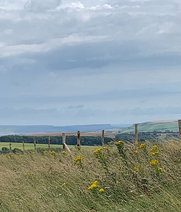 Seaford Head from Ditchling Beacon.