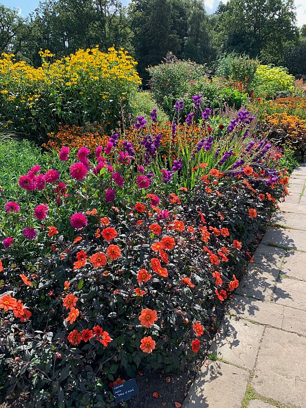 Blaze of colourful flowers at Wisley.