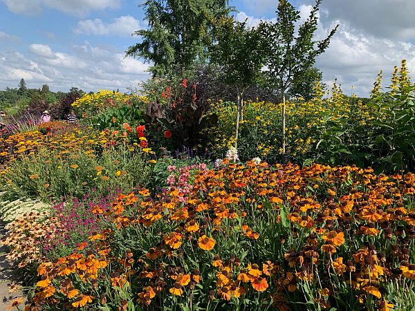 Blaze of colourful flowers at Wisley.