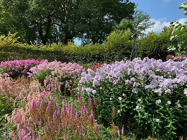 Flowers, Wisley Gardens.