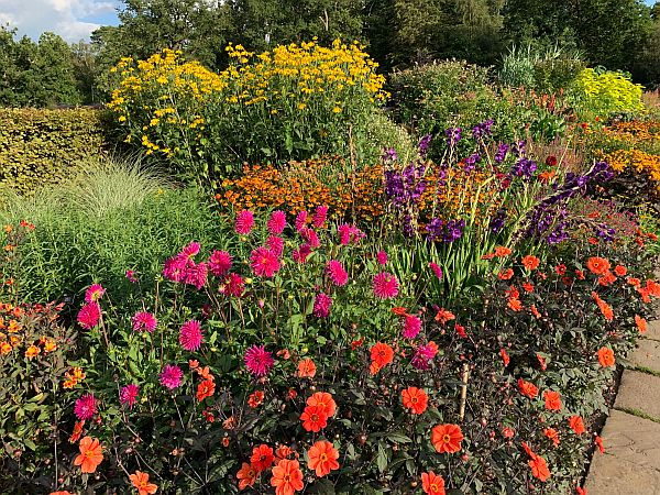 Flowers, Wisley Gardens.