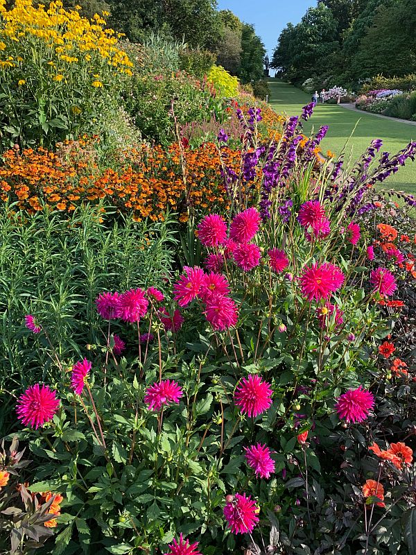 Flowers, Wisley Gardens.