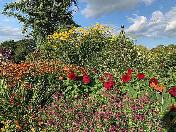 Flowers, Wisley Gardens.