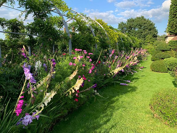 Flowers, Wisley Gardens.