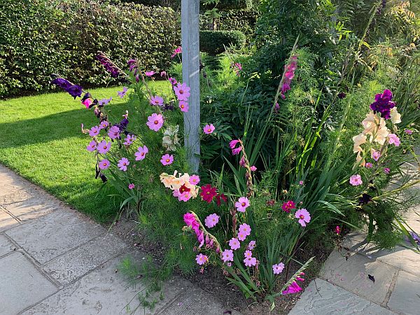 Flowers, Wisley Gardens.