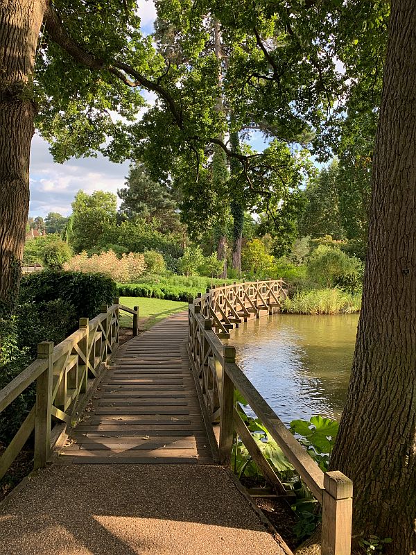 Boardwalk, Wisley Gardens.