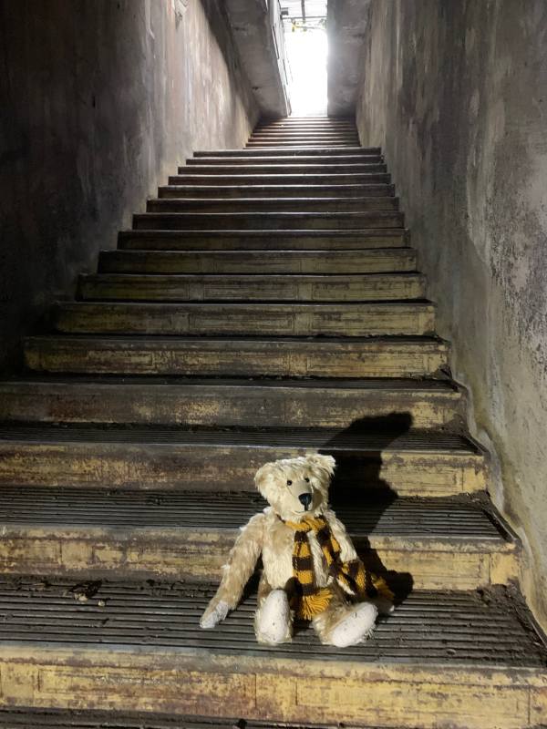 Bertie sat on the stairway to Aldwych tram stop.