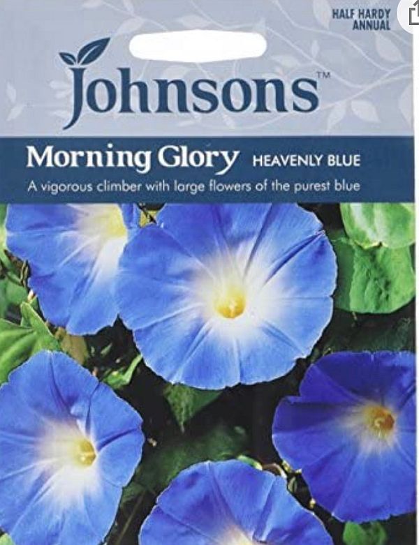 A packet of Johnson's Morning Glory Heavenly Blue seeds.