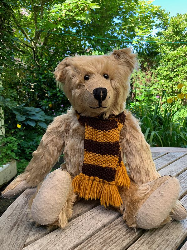 Bertie sat on an outside table wearing his Sutton United scarf.
