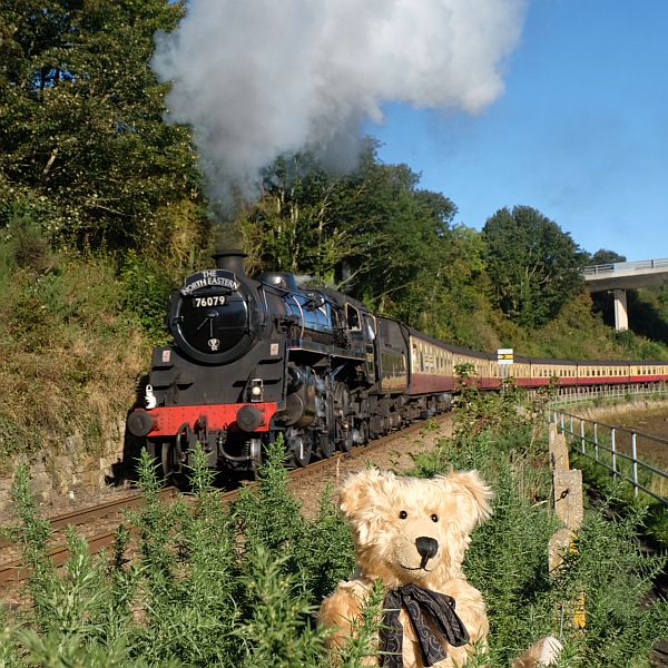 Bertie by a North Yorkshire Moors Railway train near Whitby.