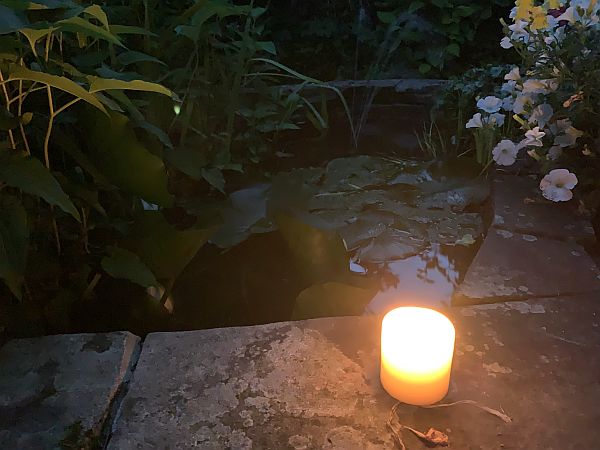 A candle lit for Diddley beside an ornamental fish pond.