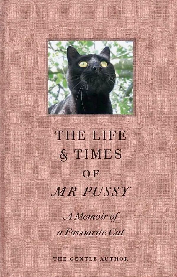 Cover of the book "The Life & Times of Mr Pussy"