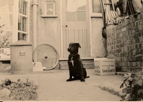 Jack by the back door and bin.