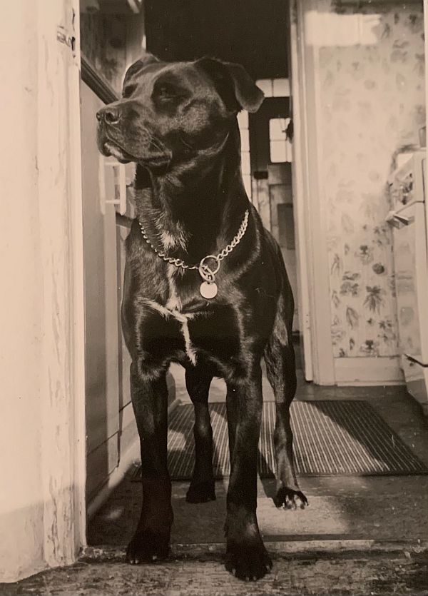 Jack at the kitchen door.