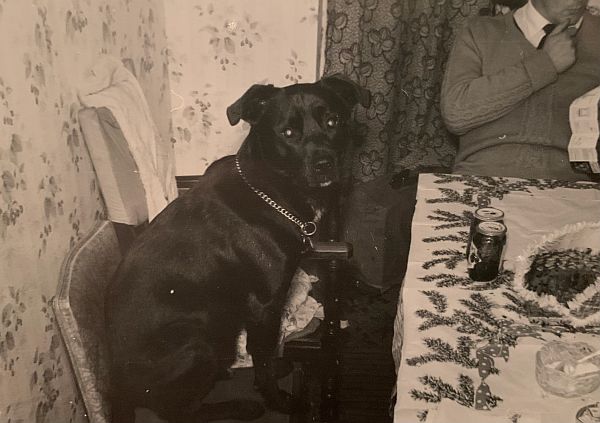 Jack at the Christmas Dinner table.