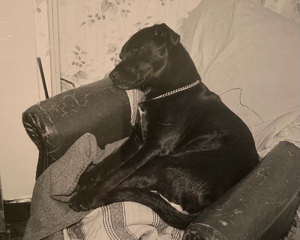 Jack in an old leather armchair.