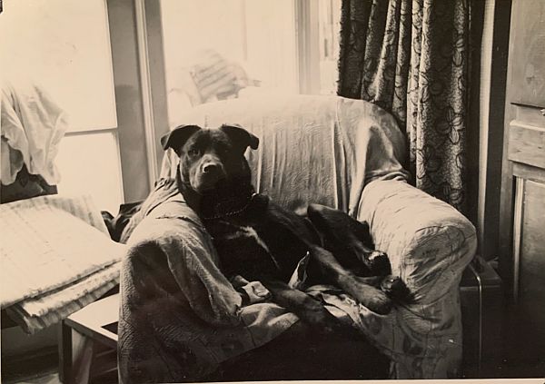 Jack in the cloth covered armchair.