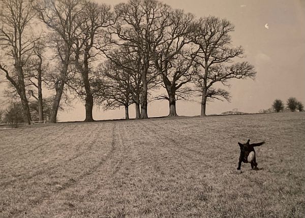 Jack running in Cheam Recreation Ground.