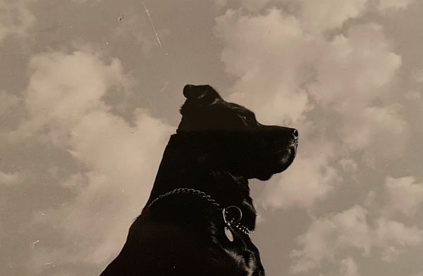 Head shot of Jack against a cloudy sky.