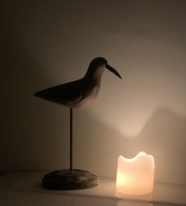 A candle lit for Diddley. The light reflecting on the wall alongside a bird statue.