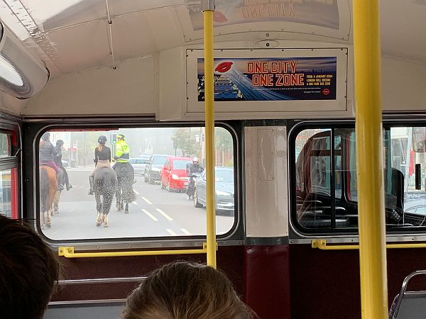 Horses viewed through the front lower deck window of a Routemaster.