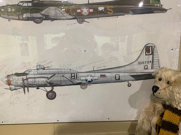 Bertie looking at the drawing of a B17 Flying Fortress.