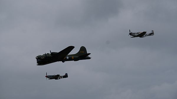 Sally B with Mustangs.