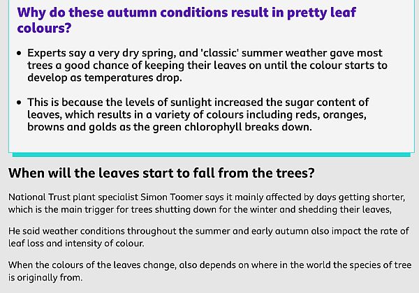 National Trust information on Autumn.