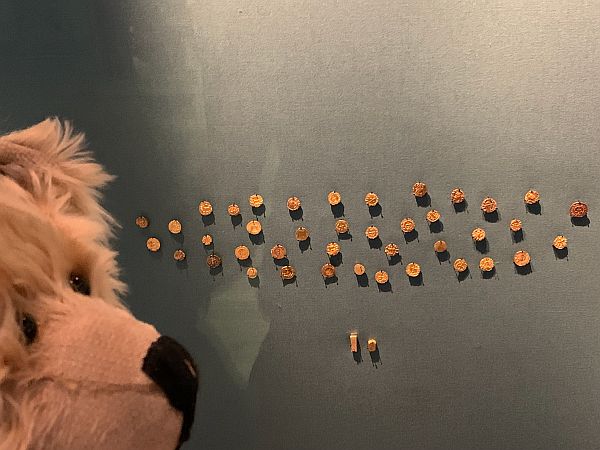 Bertie looking at the coins.