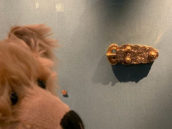 Bertie looking at the gold buckle.