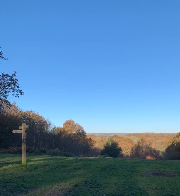 Holmwood Common, looking north to Denbies Hillside and the North Downs.