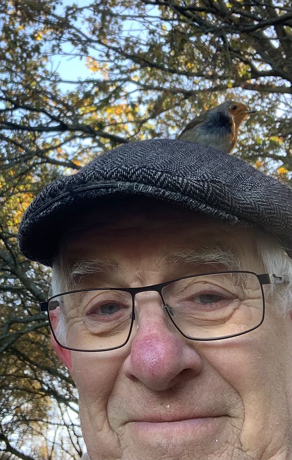 The Robin sat on Bobby's cap - whilst on his head!