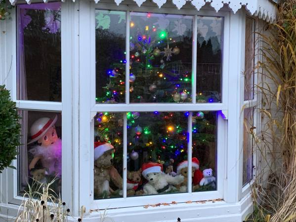 The Mindfully Bertie team seen through the window of Laurel Cottage.