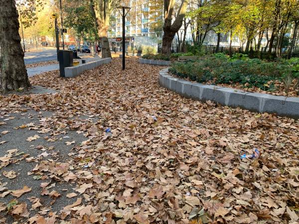 Brown Plane tree leaves on the pavement.