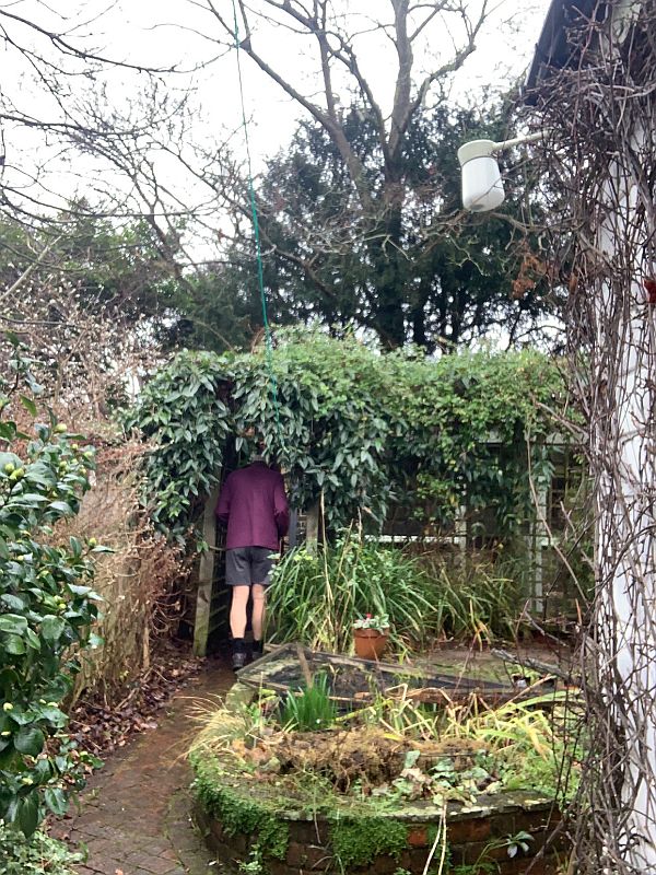 Bobby disappearing into the shed at the end of the garden in Laurel Cottage.