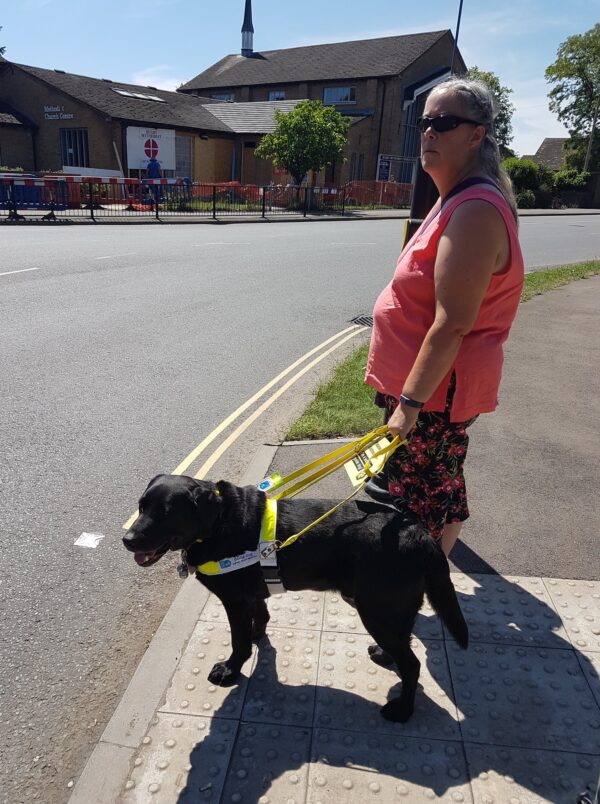 Oakley guiding Tracey at a busy road crossing