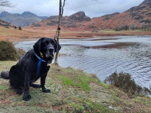 Oakley in the Lake District