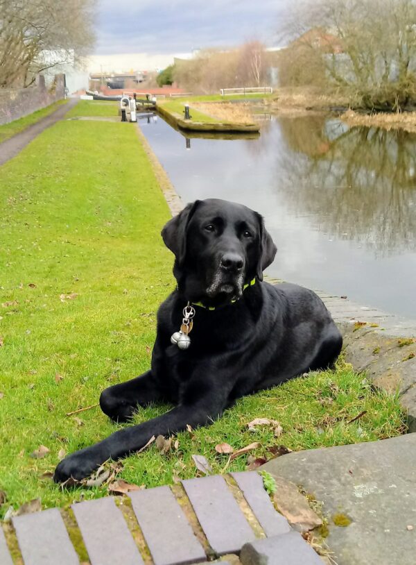 Oakley relaxing on the Titford locks