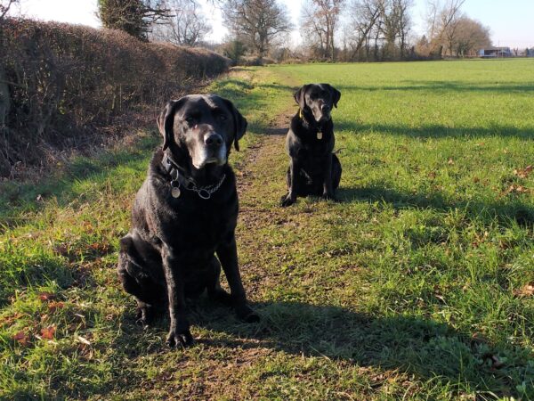 Oakley and his Dad Dixon.