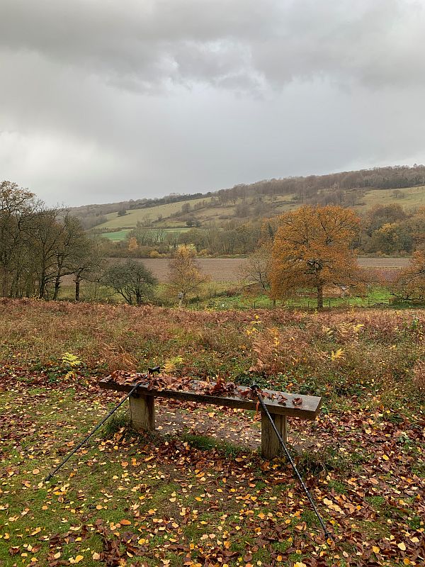 The bench covered in auntumnal leaves, with Bobby's walking sticks on it.