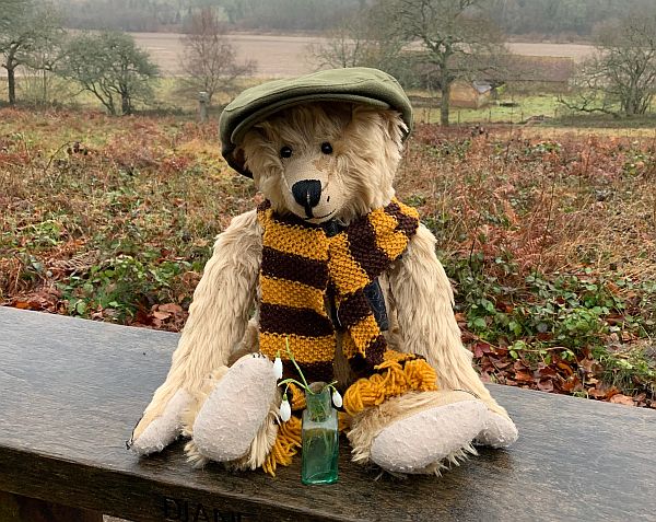 Bertie on The Bench wearing his Sutton United scarf and Bobby's cap. A jar with a couple of snowdrops is in front of him.