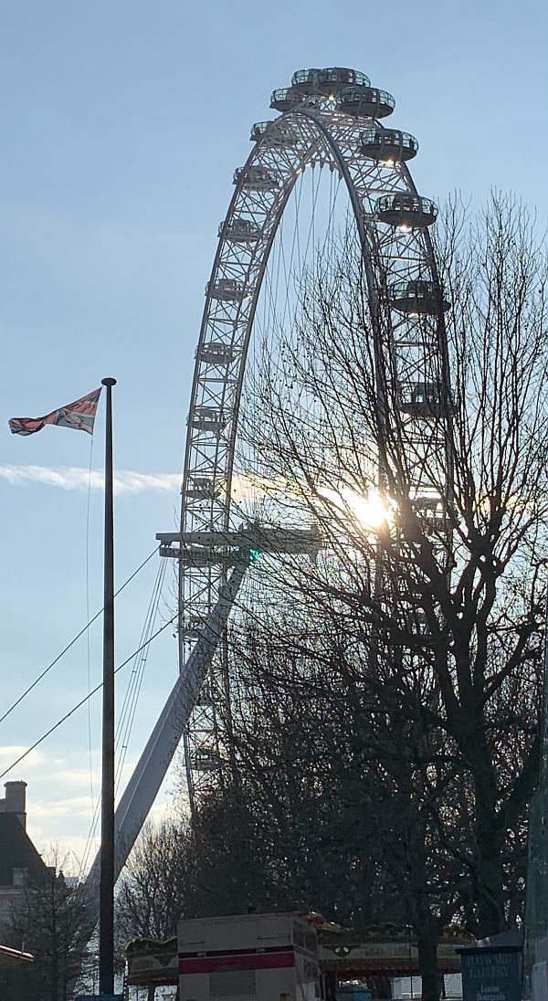 View of the London Eye through trees.