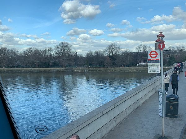 Looking across the Thames to Bishop's Park.